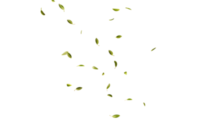 Green leaves fly with a gust of wind on white  background.AI GENERATED