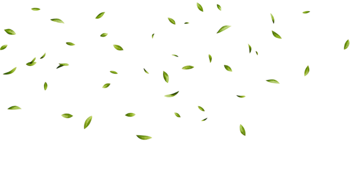 green paint splashes on white background.AI GENERATED