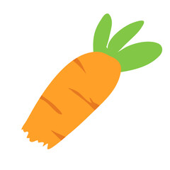 fresh orange carrot with green leafs