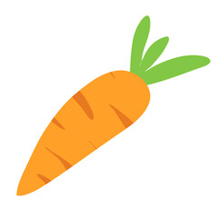 fresh orange carrot with green leafs
