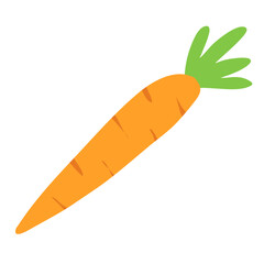 fresh orange carrot with green leafs