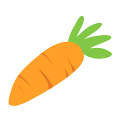 fresh orange carrot with green leafs