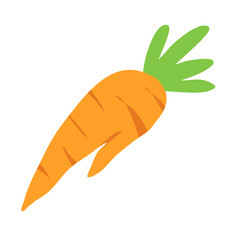 fresh orange carrot with green leafs