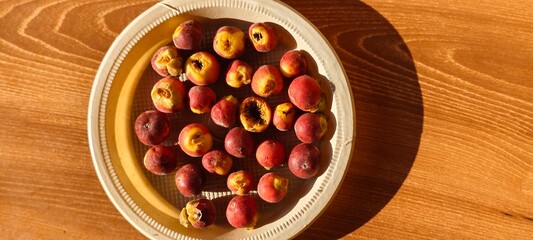 Wild fruits on light background.
