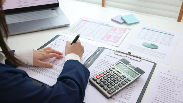 Internal Tax audit review checking ESG data risk in balance sheet prepare annual report GAAP IFRS IAS service. Income growth Cash flow budget work number control wealth for trader system merger study.