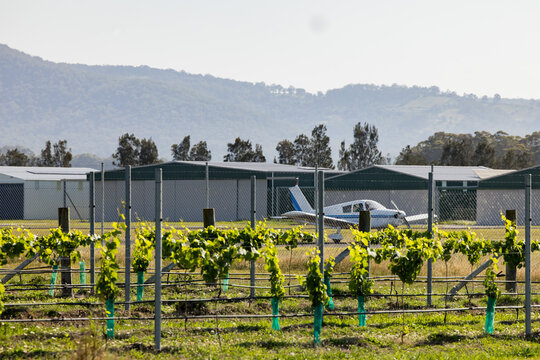 Small plane taxiing along runway with grape vines in foreground