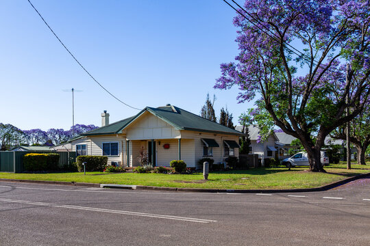 House on corner block in town with flowering jacaranda tree in singleton