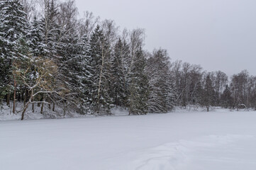 A bank with trees near a frozen river in winter. A landscape with a view of a frozen river covered with snow. Winter in the village.