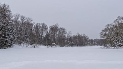 A bank with trees near a frozen river in winter. A landscape with a view of a frozen river covered with snow. Winter in the village.