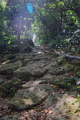 小道を抜けた先