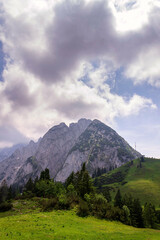 Obraz premium Donnerkogel Mountain in Alps, Gosau, Gmunden district, Upper Austria federal state, cloudy summer day