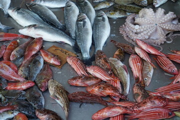 fresh fishes and sea  product from the farmer's market of Rhodes , Greece