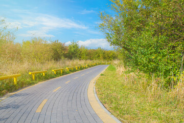 Fototapeta premium Asphalt bike path in the countryside between the trees. Place for cycling in the forest. Equipped place for sports. Turn in the asphalt road.