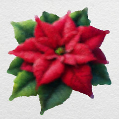 Red Poinsettia Watercolor