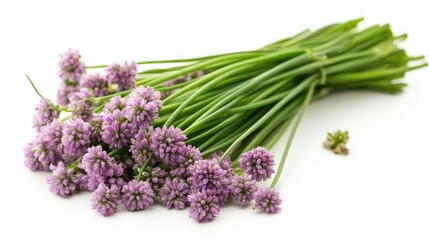 Naklejka premium A bunch of fresh chives isolated on a white background, emphasizing their slenderness.