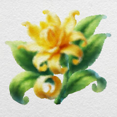 Yellow Flower Watercolor