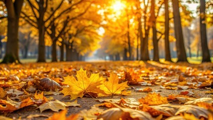 Autumn yellow oak tree leaves scattered on ground in park , Fall, background, landscape, foliage, seasonal, golden, nature