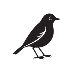 bird silhouette vector, black and white silhouette, vector and illustration, black and white, isolated on white background