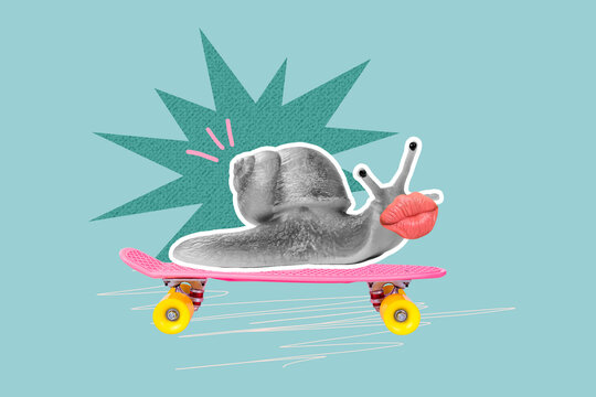 Composite sketch design artwork 3D photo collage of copyspace outdoors skateboard route way snail animal gastropod grimace lips nature