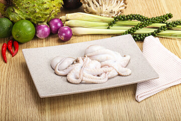 Delicous fresh raw uncooked octopus