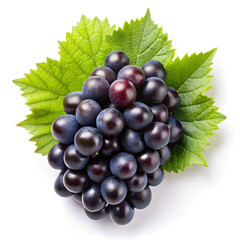 black grape dark blue grape isolated on white background