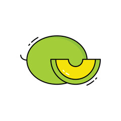 Melon vector icon