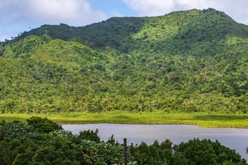 Fototapeta premium Verdant Hills and Tranquil Lake in Saint George's, Grenada