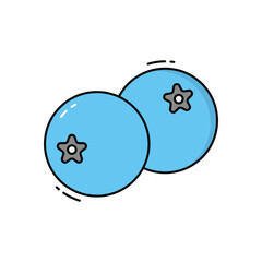 Blueberry  vector icon