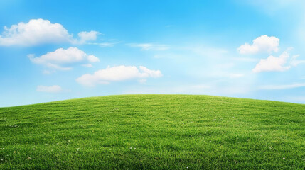 Fototapeta premium Green Grass Hill with Blue Sky Background
