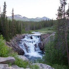 Serene Mountain Waterfall Cascading Through Evergreen Forest