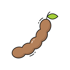 Tamarind vector icon