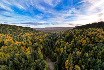 autumn forest in the mountains, autumn fall, snake woodlands, drone photography, panorama