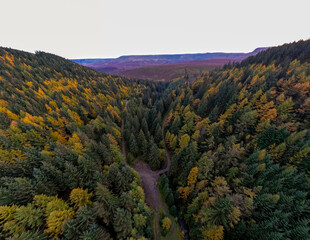 autumn forest in the mountains, autumn fall, snake woodlands, drone photography, panorama