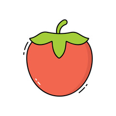 Persimmon  vector icon