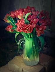 The bouquet of red tulips