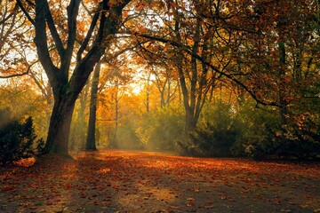 Magic autumn with golden leaves