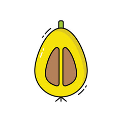Loquat vector icon