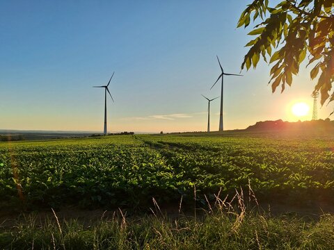 Wind Turbines at Sunset Over German Countryside - Powered by Adobe