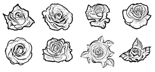 Set of sketch roses hand drawn color set. Black line rose flowers inflorescence silhouettes isolated on white background. Icon roses collection. Vector doodle illustration, black flower vector icons.