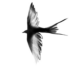 A black-and-white minimalist illustration in a digital stencil style. A swallow with outstretched...