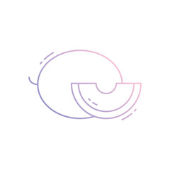 Melon vector icon