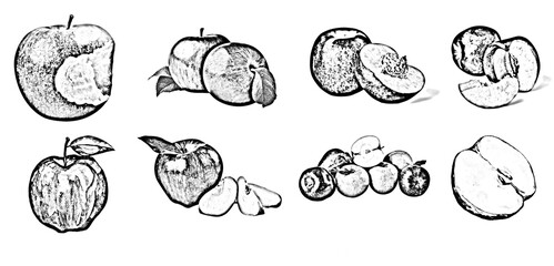 Set of realistic ripe Apple ruit. Black and white sketch apple vector fresh, crisp sweet natural delight. black Sketch wedges,bursting with flavor and juiciness, fruit vector illustration.