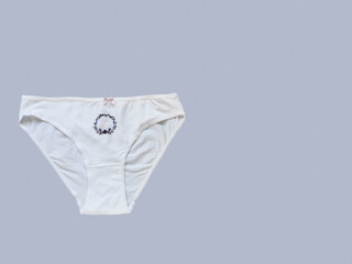 Classic women's underwear cotton slip panties on a gray background