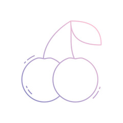 Cherry vector icon