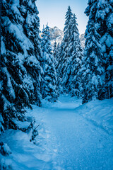 Ice Dawn in Sappada. Walk through ancient villages and dream mountains. Dolomites.