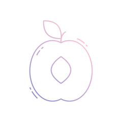 Apricot vector icon
