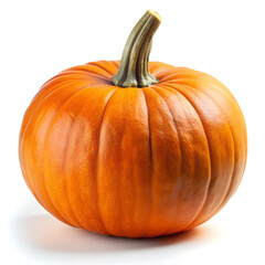 Obraz premium Pumpkin isolated on white. Pumpkin isolated on white background 