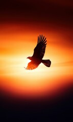 Obraz premium Eagle Soaring Against the Sunset Sky