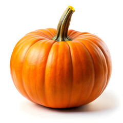Obraz premium Pumpkin isolated on white. Pumpkin isolated on white background 