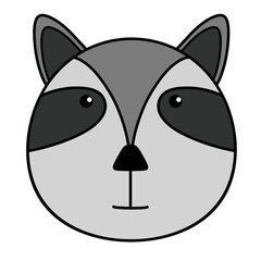 Raccoon head 